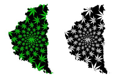 Ternopil Oblastı (Ukrayna 'nın idari bölümleri, Ukrayna' nın Oblastları) haritası kenevir yaprağı yeşil ve siyah, Ternopilshyna haritası marihuanadan (marihuana, Thc) yapılmıştır.