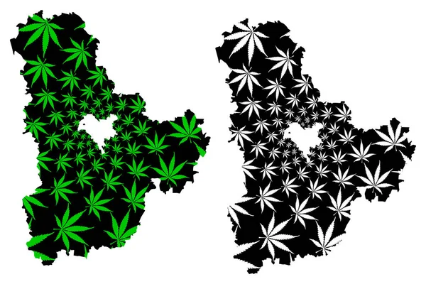 Kiev Oblast (Administrative divisions of Ukraine, Oblasts of Ukraine) map is designed cannabis leaf green and black, Kyiv Oblast (Kyivshchyna) map made of marijuana (marihuana,THC) foliag — Stock Vector