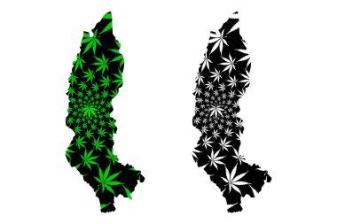 Amazon Bölgesi (Peru Cumhuriyeti, Peru Bölgeleri) haritası kenevir yaprağı yeşil ve siyah, Amazon haritası marihuana (marihuana, Thc) yaprağından yapılmıştır.