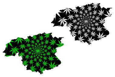 Bolivar Eyaleti (Bolivarya Venezuela Cumhuriyeti, Federal Bağımlılıklar ve Başkent Bölgesi) haritası esrardan (marihuana, Thc) yapılmış Bolivar haritası, kenevir yaprağı yeşil ve siyah olarak tasarlanmıştır.