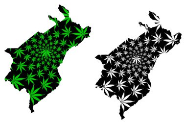 Merida Eyaleti (Bolivarya Venezuela Cumhuriyeti) haritası, esrardan (marihuana, Thc) yapılmış Bolivarya Eyaleti haritası, kenevir yaprağı yeşili ve siyah olarak tasarlanmıştır.