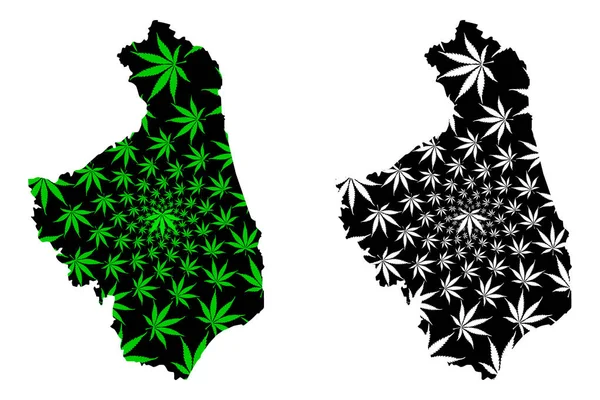 Podlaskie Voivodeship (Divisões administrativas da Polônia, Voivodeships da Polônia) mapa é projetado folha de cannabis verde e preto, Podlasie Province map made of marijuana (marihuana, THC) foliag — Vetor de Stock