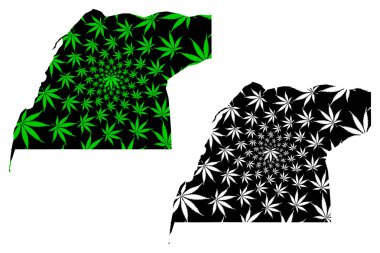 Dakhla Oued Ed Dahab Bölgesi (Fas Krallığı, Bölgeler) haritası kenevir yaprağı yeşil ve siyah, karalama çizimi Ed-Dahab-Lagouira haritası marihuanadan (marihuana, Thc) yapılmıştır.