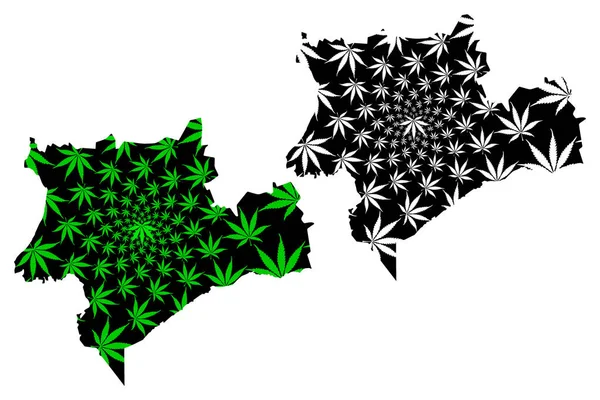 Souss Massa Region (Kingdom of Morocco, Regions of Morocco) map is designed cannabis leaf green and black, Sus-Massa map made of marijuana (marihuana, THC) foliag — Vector de stock