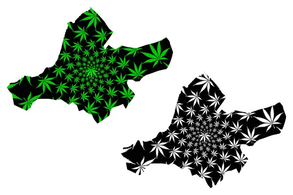 Mappa della Provincia di Ain Temouchent (Province dell'Algeria, Repubblica Democratica Popolare d'Algeria) è disegnata foglia di cannabis verde e nera, mappa di Ain Temouchent fatta di foglie di marijuana (marijuana, THC) — Vettoriale Stock