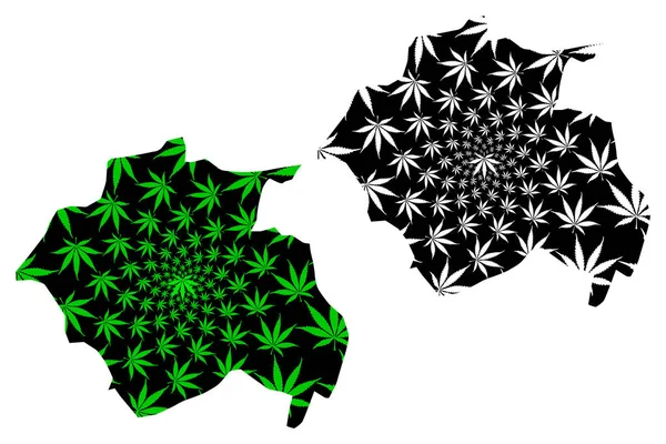 Constantine Province (Provincias de Argelia, República Popular Democrática de Argelia) map is designed cannabis leaf green and black, Constantine map made of marijuana (marihuana, THC) foliag — Vector de stock