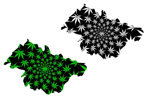 Mascara Province (Provincias de Argelia, República Popular Democrática de Argelia) map is designed cannabis leaf green and black, Mascara map made of marijuana (marihuana, THC) foliag — Vector de stock