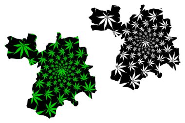Setif ili (Cezayir Eyaletleri, Cezayir Demokratik Cumhuriyeti) haritası kenevir yaprağı yeşil ve siyah, Setif haritası marihuana (marihuana, Thc) yaprağından yapılmıştır.