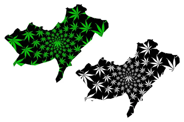 Mappa della Provincia di Oran (Province dell'Algeria, Repubblica Democratica Popolare d'Algeria) è disegnata foglia di cannabis verde e nera, mappa di Oran fatta di foglie di marijuana (marijuana, THC) — Vettoriale Stock