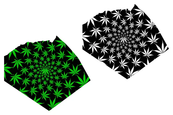 Tindouf Province (Provinces of Algeriet, Peoples Democratic Republic of Algeriet) kartan är utformad cannabis blad grön och svart, Tinduf karta gjord av marijuana (marihuana, Thc) foliag — Stock vektor