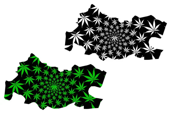 Mappa della Provincia di Tissemsilt (Province dell'Algeria, Repubblica Democratica Popolare d'Algeria) è disegnata foglia di cannabis verde e nera, mappa di Tissemsilt fatta di foglie di marijuana (marijuana, THC) — Vettoriale Stock
