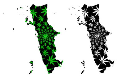 El Hudaydah Valiliği (Yemen Valiliği) haritası esrar yaprağı yeşil ve siyah, Batı Sahil haritası marihuanadan (marihuana, Thc) yapılmıştır.