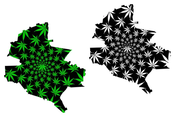 Bucarest County (divisiones administrativas de Rumania, Bucuresti - región de desarrollo de Ilfov) map is designed cannabis leaf green and black, Bucarest map made of marijuana (marihuana, THC) foliage — Vector de stock