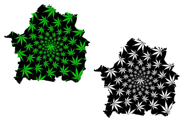 Mapa powiatu Braila (Podział administracyjny Rumunii, Region Rozwoju Sud-Est) jest zaprojektowana zielono-czarna mapa liści konopi indyjskich, mapa Braila wykonana z marihuany (marihuana, Thc) foliag — Wektor stockowy