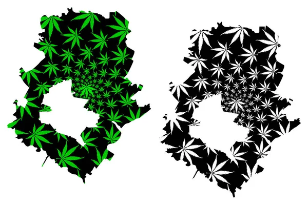 Ilfov County (divisiones administrativas de Rumania, Bucuresti - región de desarrollo de Ilfov) mapa está diseñado hoja de cannabis verde y negro, Ilfov mapa hecho de marihuana (marihuana, THC) follaje — Vector de stock