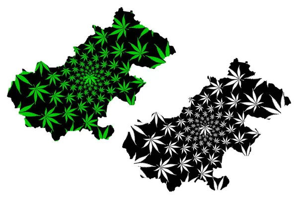 Mapa hrabstwa Satu Mare (Podział administracyjny Rumunii, region rozwoju Nord-Vest) jest zaprojektowana jako zielono-czarna mapa liści konopi indyjskich, mapa Satu Mare wykonana z marihuany (marihuana, Thc) — Wektor stockowy