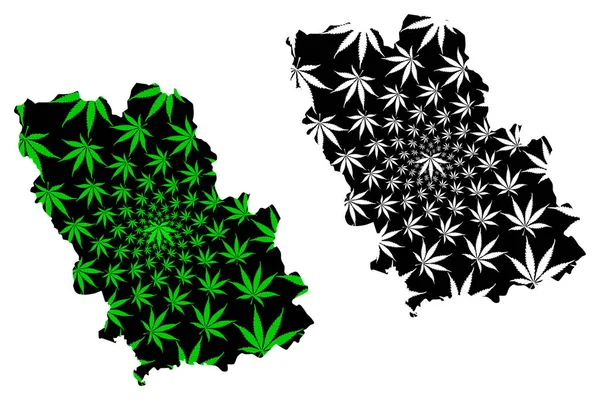 Die Karte des Kreises Prahova (Verwaltungsbezirke Rumäniens, Entwicklungsregion Sud-Muntenia) besteht aus grünen und schwarzen Cannabisblättern, die Karte aus Marihuana (Marihuana, thc) — Stockvektor