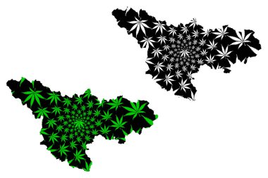 Timis İlçesi (Romanya İdari Bölgeleri, Yelek Geliştirme Bölgesi) haritası kenevir yaprağı yeşil ve siyah, Timis haritası marihuanadan (marihuana, Thc) yapılmıştır.