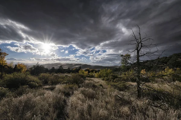 Park Narodowy Great Sand Dunes, Colorado, Stany Zjednoczone Ameryki — Zdjęcie stockowe