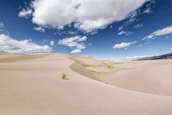 Stora Sand Dunes nationalpark, Colorado, Usa Stockbild
