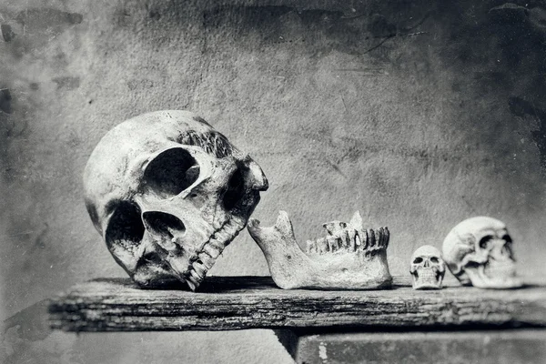 Crânio abstrato ainda vida com zero primeiro plano em preto e w — Fotografia de Stock