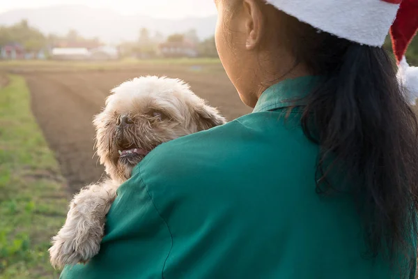 Yaşlı ve çirkin köpek sahibi kız vermek aşk ve çok mutlu.