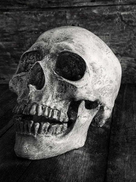 Close up skull face on wooden. — Stock Photo, Image