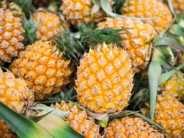 Küçük pipeapple, olgun grup.