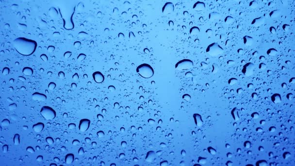 Gotas de agua de lluvia sobre fondo azul. — Vídeos de Stock