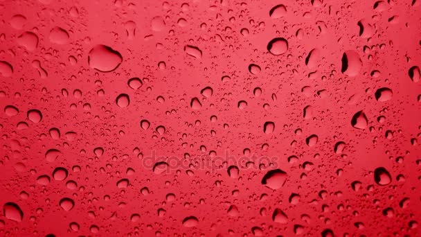 Regnvatten droppar på röd bakgrund. — Stockvideo