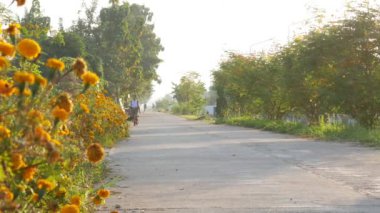Chiangrai, Tayland - Kasım 13,2016: tanımlanamayan çocuk erkek ve kız yürüyüş ve at binme üniformalı Bisiklet okula sabah.