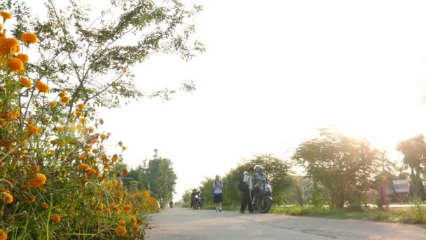 Chiangrai Tailandia Noviembre 2016 Niños Niñas Identificados Uniforme Caminando Montando — Vídeos de Stock