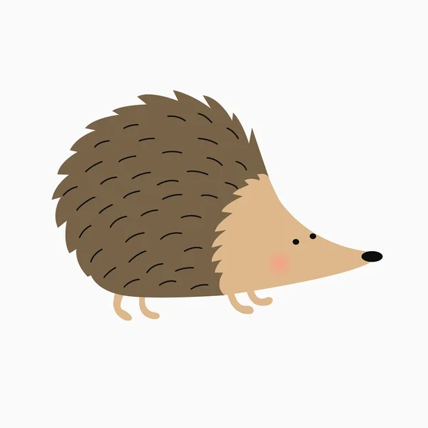 Hedgehog isolado e fundo branco — Fotografia de Stock