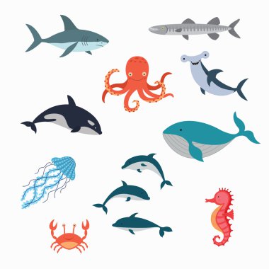 Marine Life Vector Design Illustration clipart