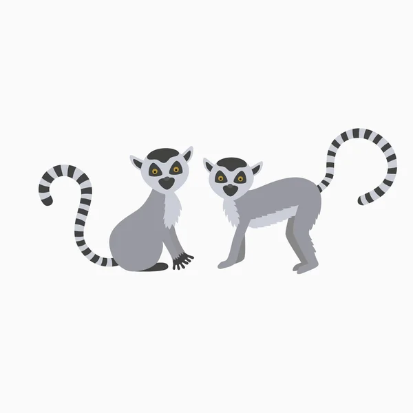 Dos lémur salvaje sobre fondo blanco ilustración — Vector de stock