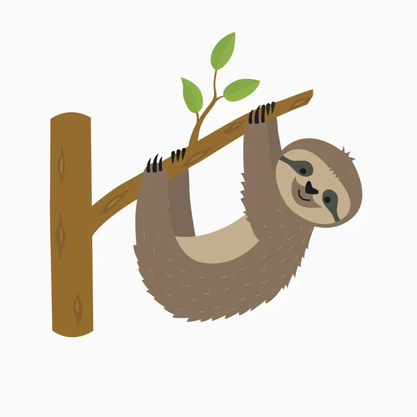 Sloth hanging on tree branch . — Stock Vector