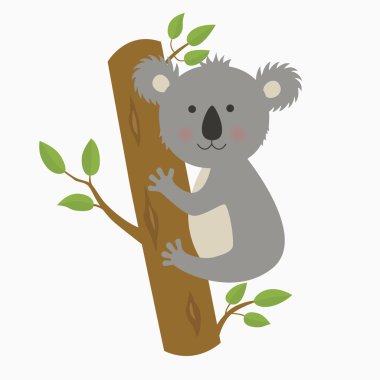 sevimli çizgi koala