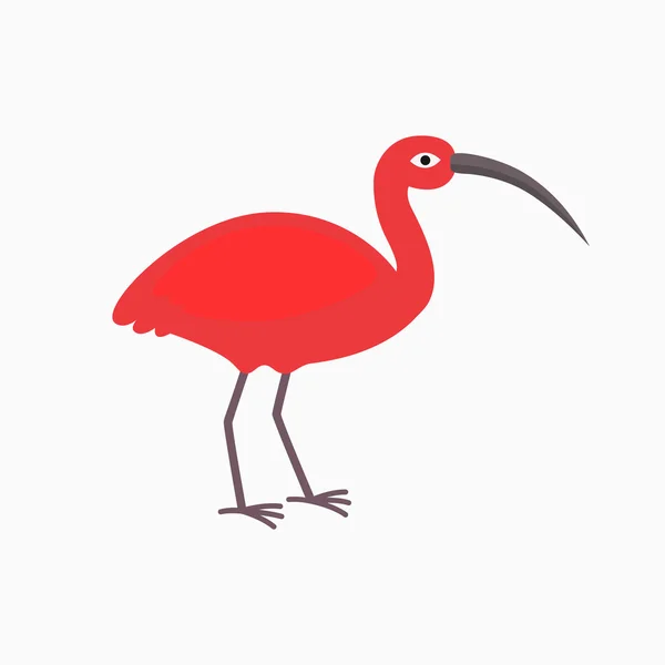 Ibis oiseau sur le fond blanc . — Image vectorielle