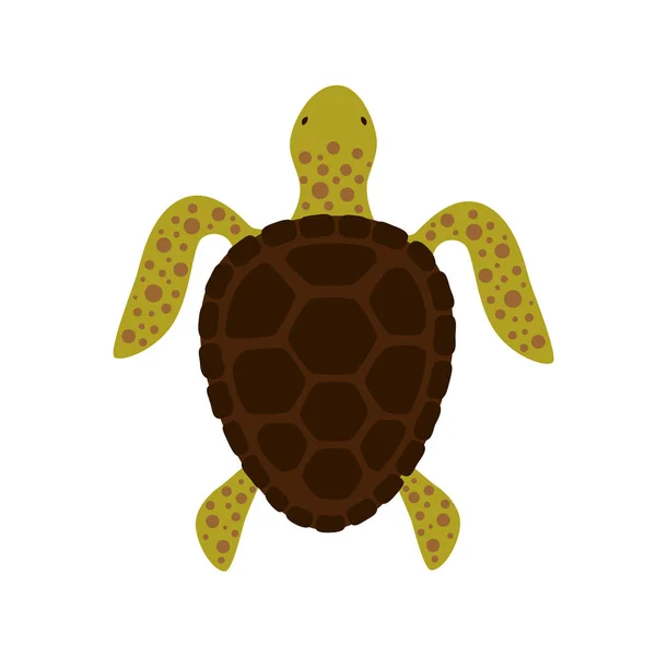 Vista superior de la tortuga. Ilustración vectorial . — Vector de stock