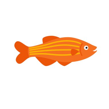 turuncu çizgili akvaryum egzotik balık tropikal