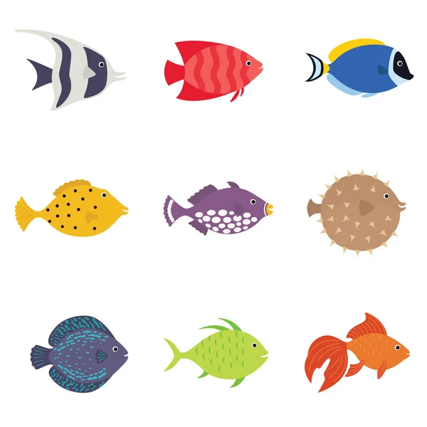 Lindo conjunto de iconos de ilustración de vectores de peces. Peces tropicales, peces de mar, peces de acuario aislados sobre fondo blanco . — Vector de stock