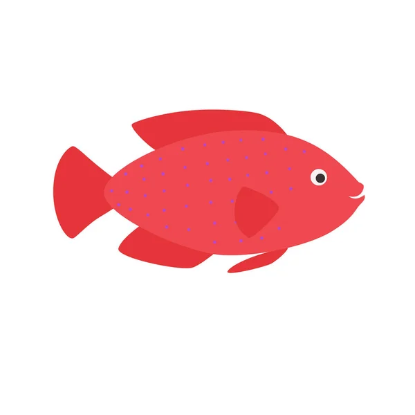 Kırmızı akvaryum egzotik balık tropikal — Stok Vektör
