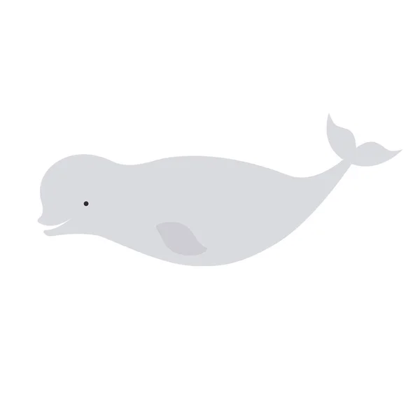 Vektorové krásné běluha severní polární dolphin bílá — Stockový vektor