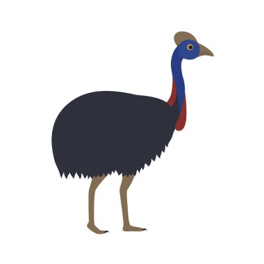 karikatür Avustralya devekuşu cassowary vektör görüntü