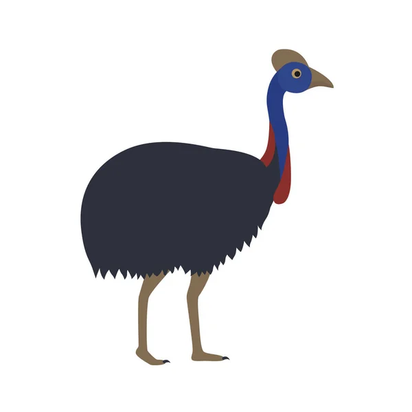 Vector image of cartoon australian ostrich cassowary — Stock Vector