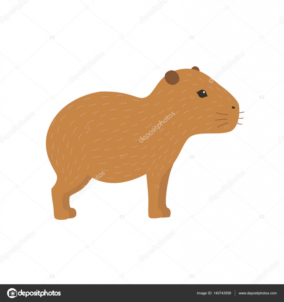 Capivara Animal Sobre Fundo Branco Desenhos Animados Estilo Ilustração  Vetorial imagem vetorial de Genestro© 415601146