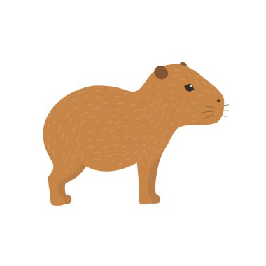 Capibara vektör çizim