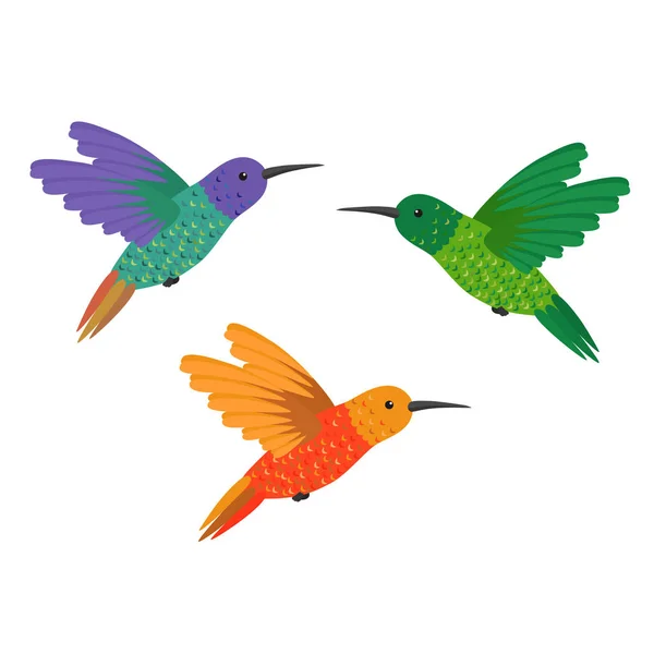 Állítsa be a három kis színes madár kolibri — Stock Vector