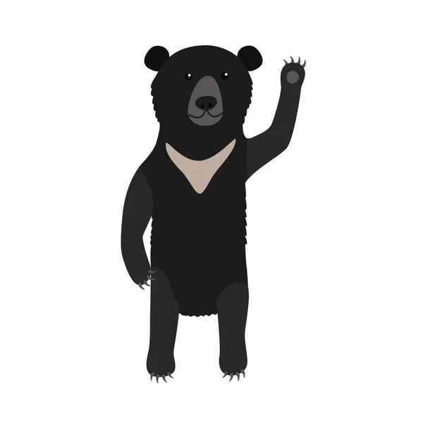 喜马拉雅黑熊 — 图库矢量图片