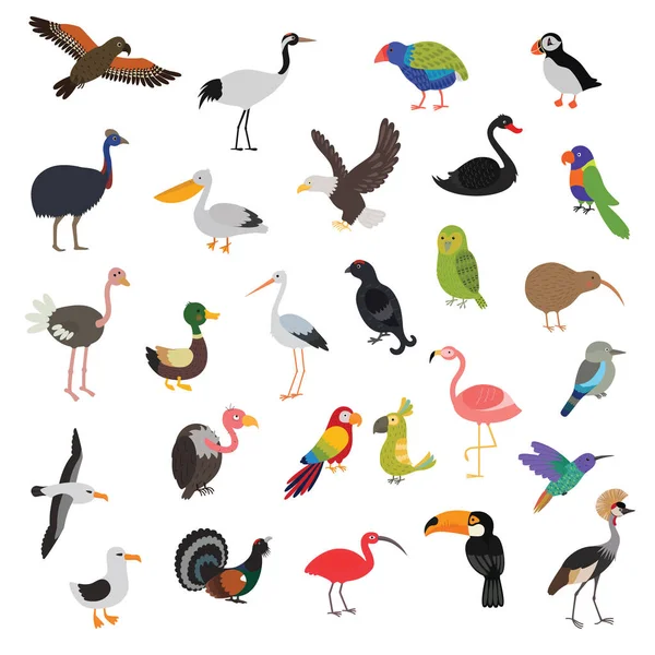 Big vector birds set — Stock Vector